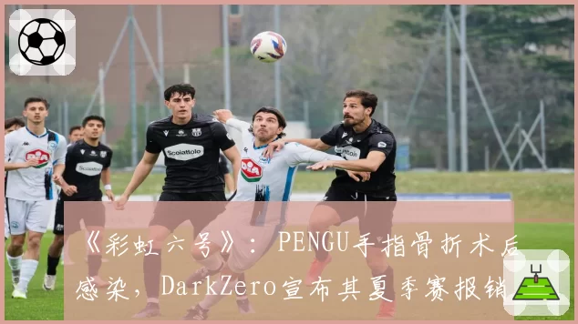 《彩虹六号》:PENGU手指骨折术后感染,DarkZero宣布其夏季赛报销